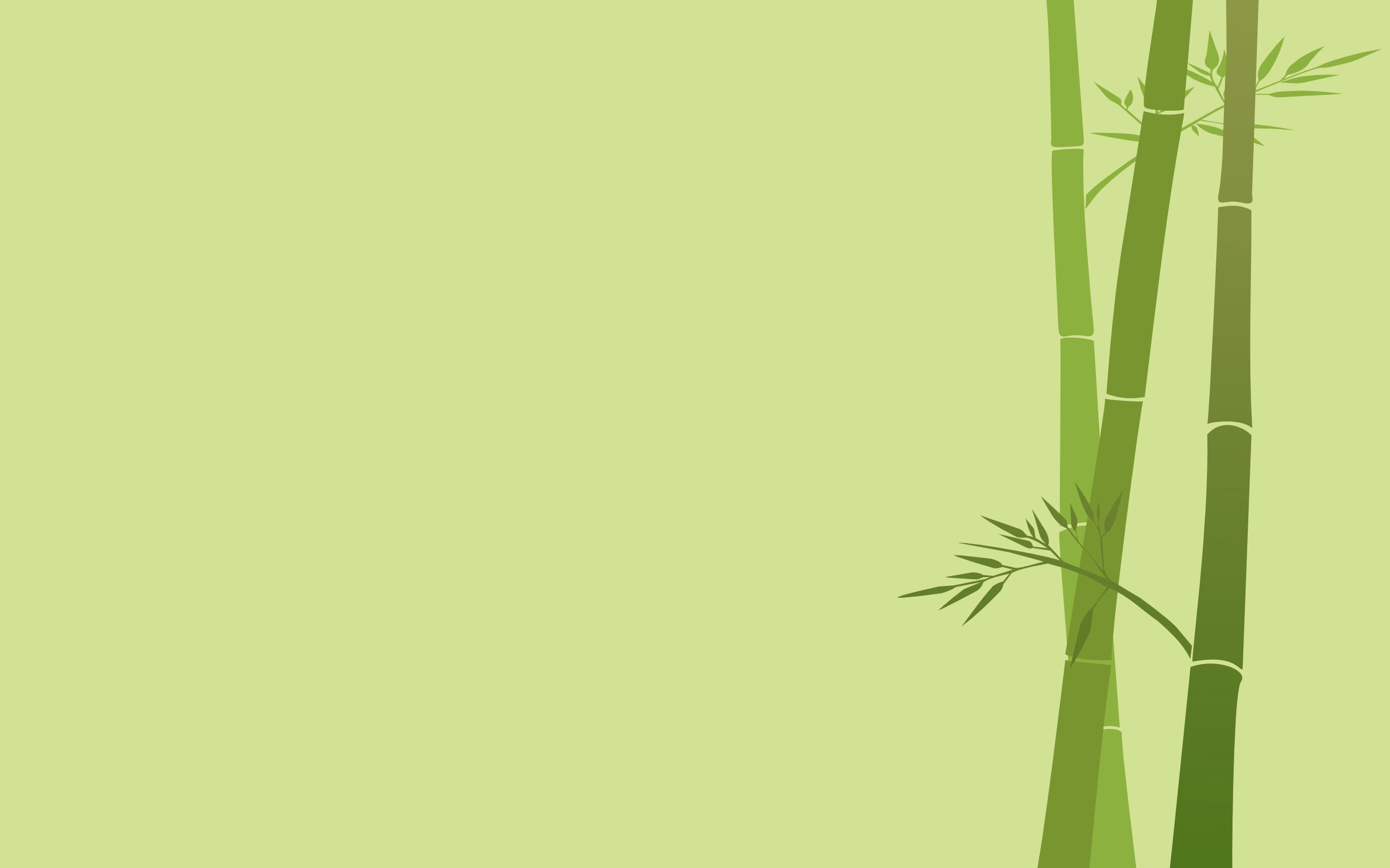 2560x1600 Desktop Bamboo HD Wallpaper Image Download