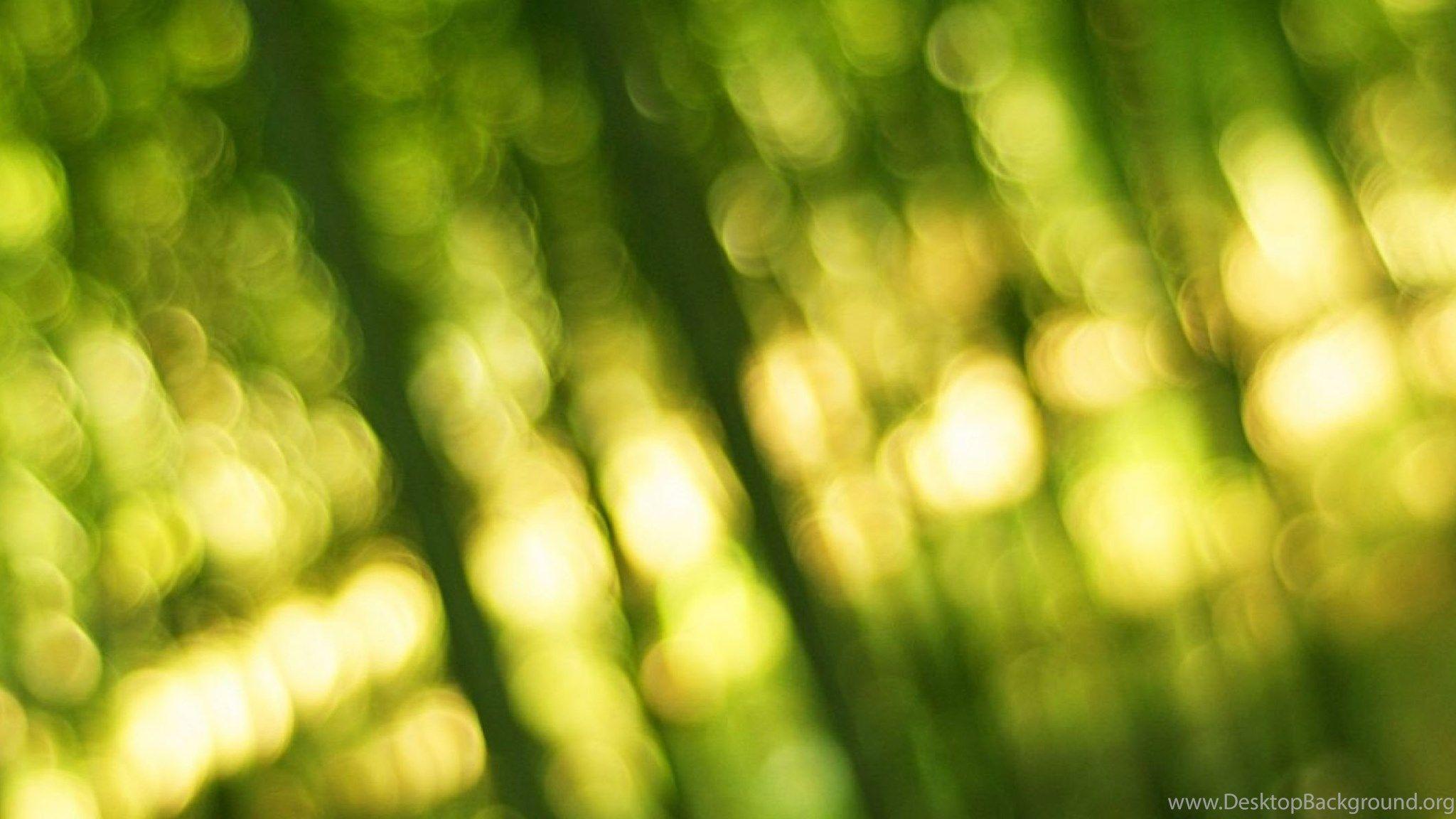 2048x1152 Dual Wide Bamboo Wallpaper HD, Desktop Background 3840x1200