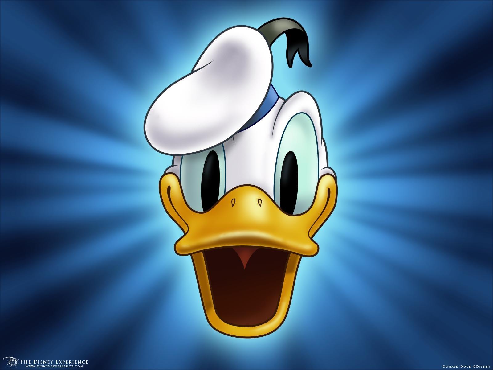 1600x1200 Donald Duck Cartoon wallpaperx1200