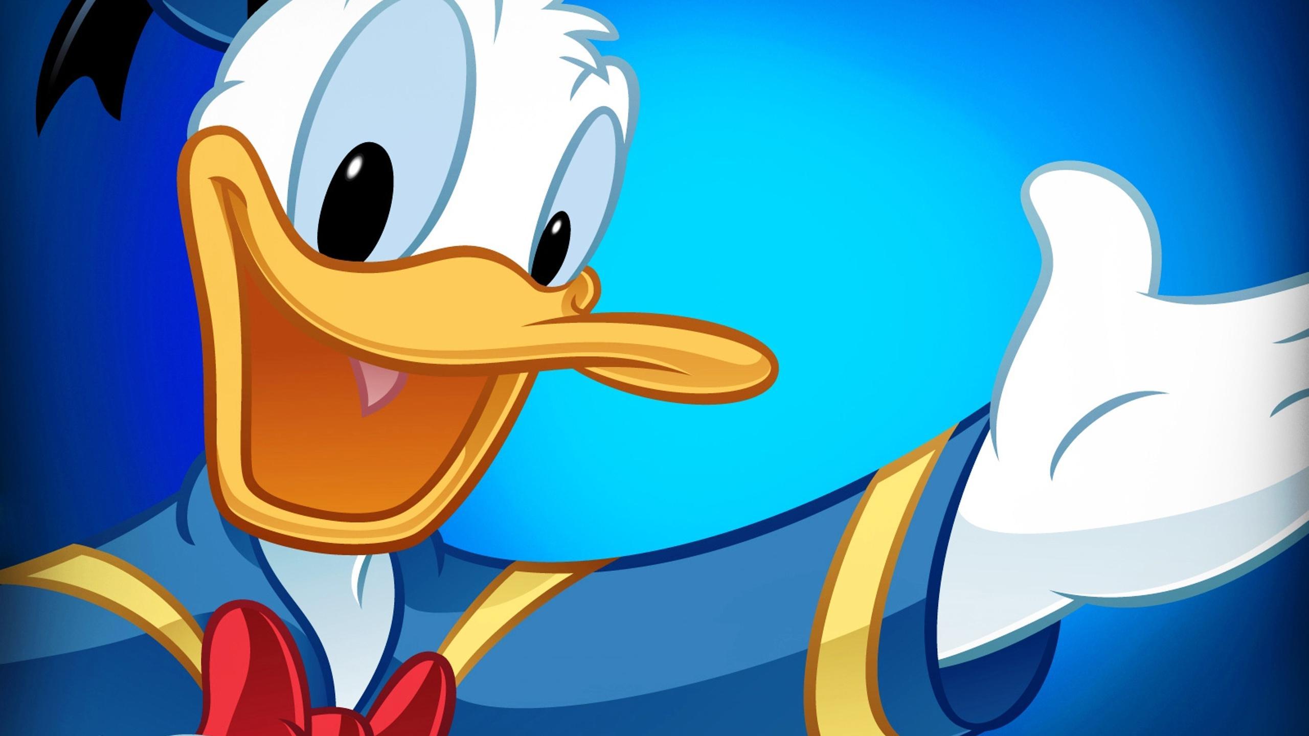 2560x1440 Donald Duck in blue
