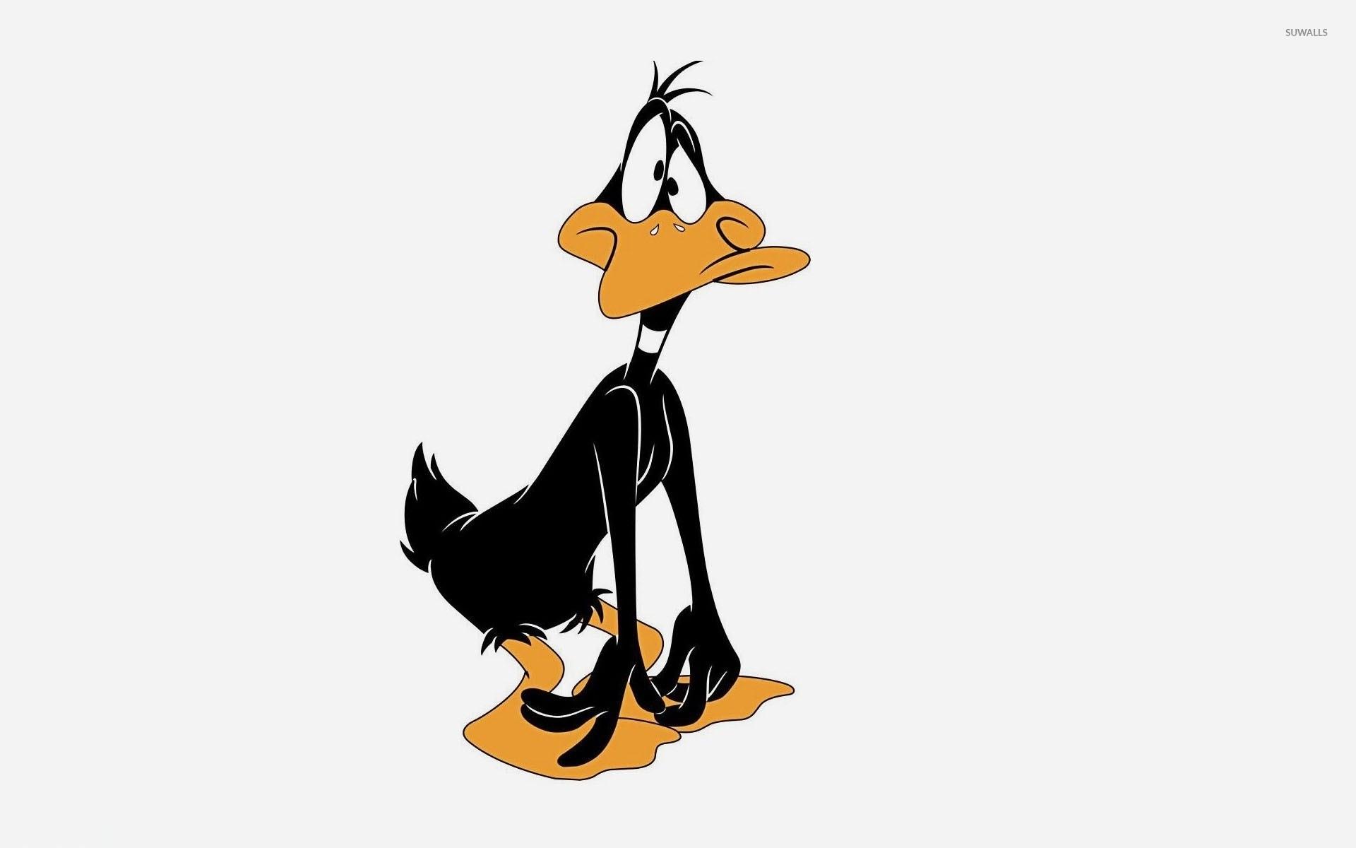 1920x1200 Daffy Duck Wallpaper HD 26173