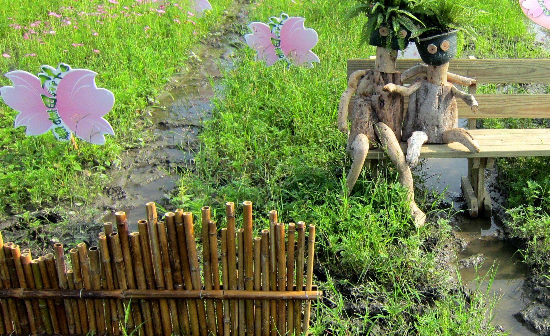 1767x1080 Field: Mummy Baby Bamboo Fence Cosmos Flower Fields Picture