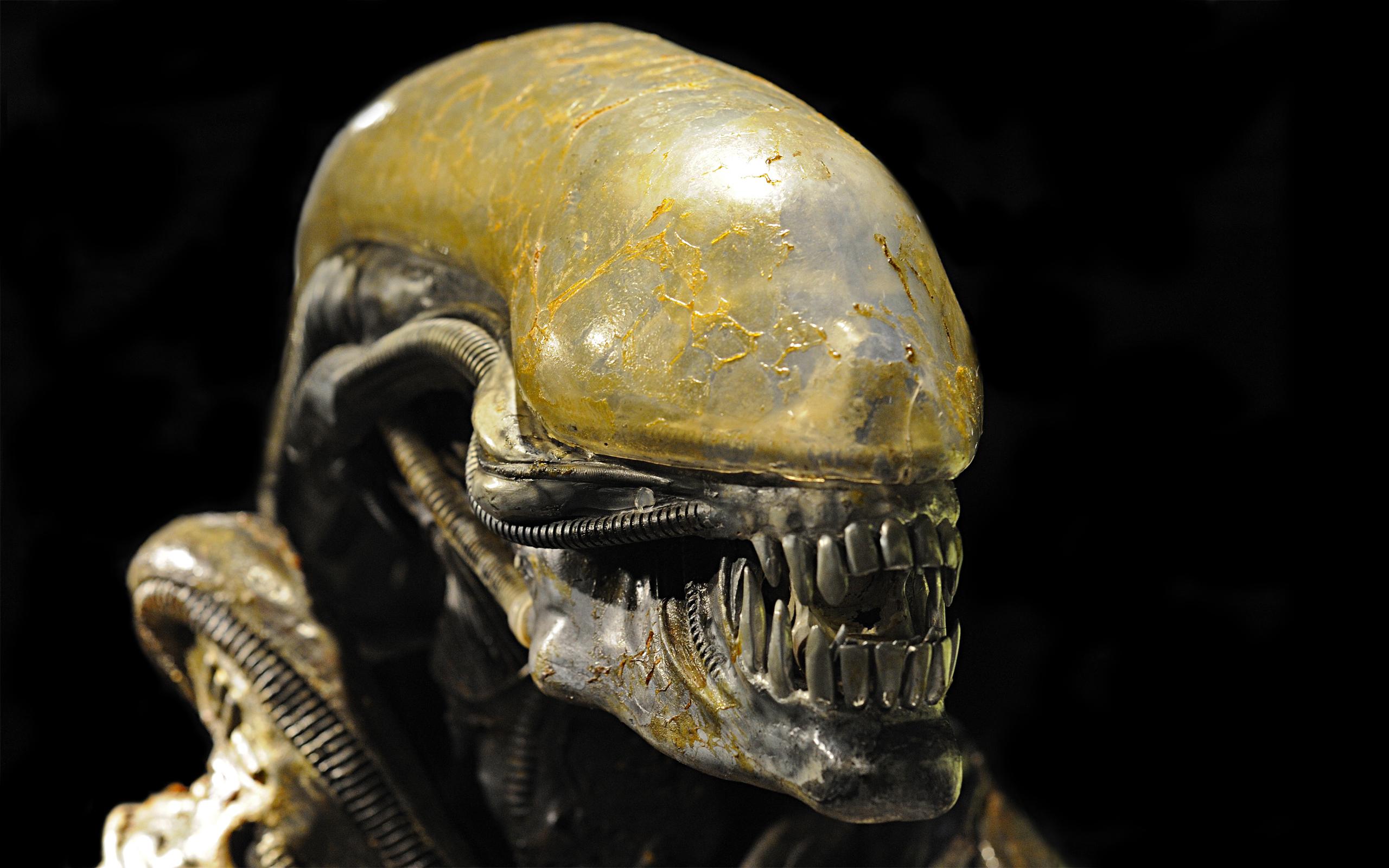 2560x1600 Sci Fi Alien HD Wallpaper