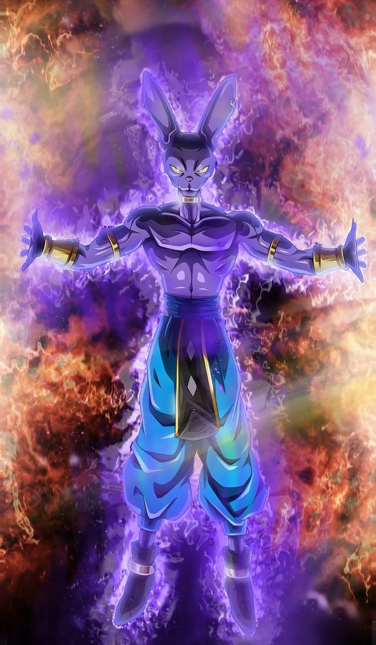 747x1280 Beerus Wallpaper