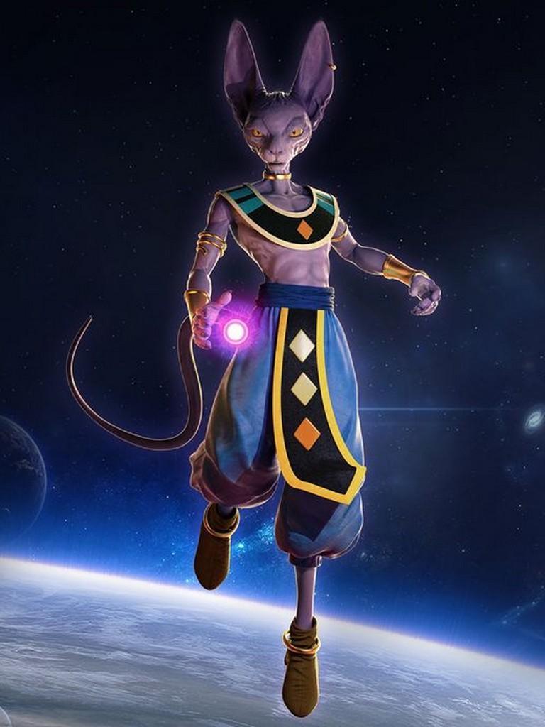 768x1024 Beerus Phone Wallpaper