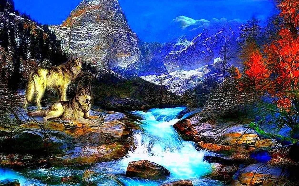 1255x784 3D Live Wallpaper Wolves Wallpaper.pro