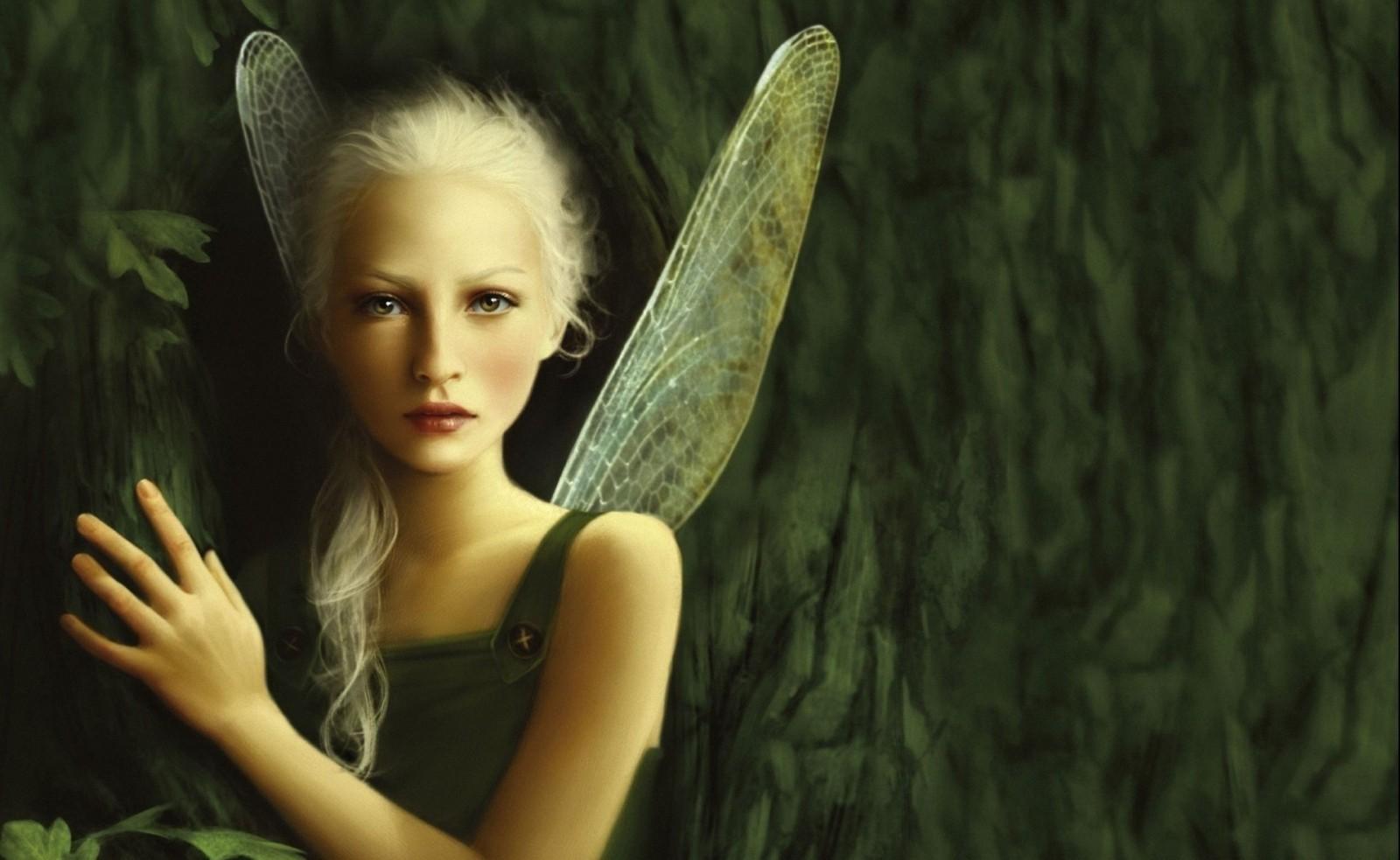 1600x983 sunlight, portrait, fantasy art, fantasy girl, grass, photography, green, fairies, flower, girl, beauty, fairy, computer wallpaper, portrait photography, fictional character, mythical creature. Mocah HD Wallpaper