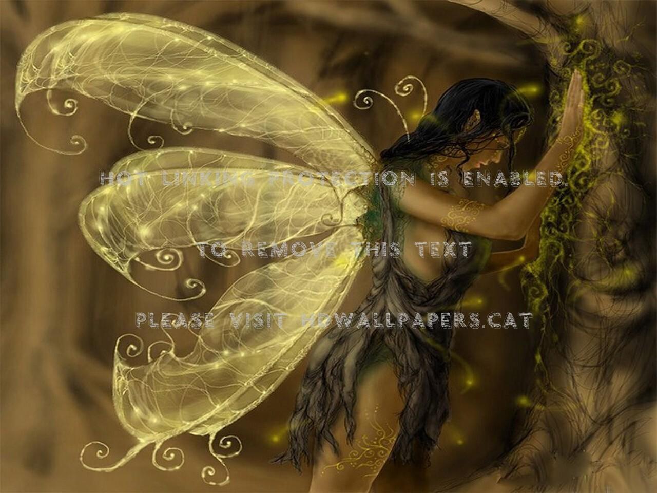 1280x960 fairy mythical magic mystical angel wings 3D