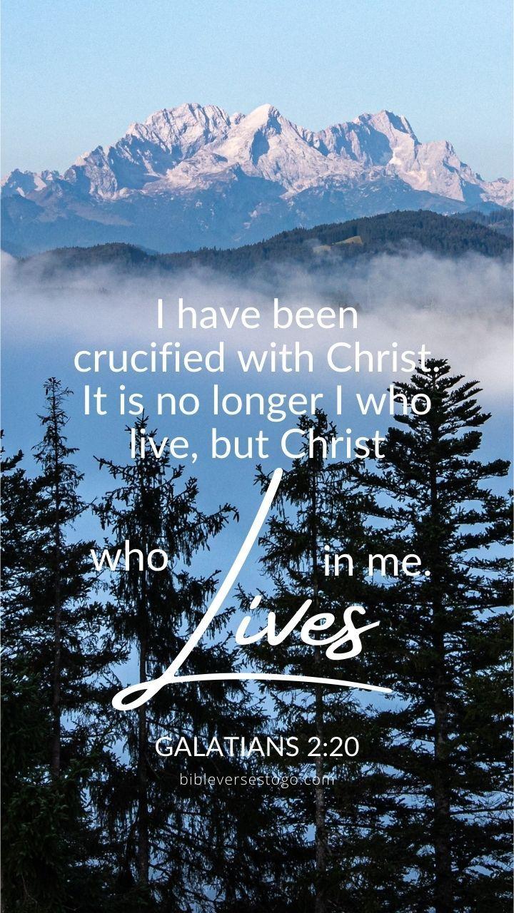 720x1280 Christian Wallpaper 000 Free Bible Verse Background Verses To Go