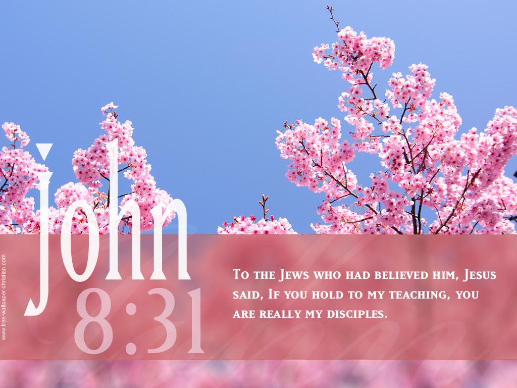 1024x768 Free download Wallpaper Bible Quotes with Background Bible Quotes Wallpaper [1024x768] for your Desktop, Mobile & Tablet. Explore Bible Quote Wallpaper. Christian Wallpaper Inspirational, Free Christian Wallpaper With Bible