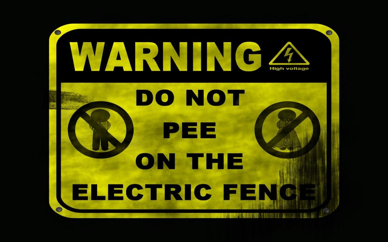 1280x800 HD Funny Wallpaper Image For Free Download