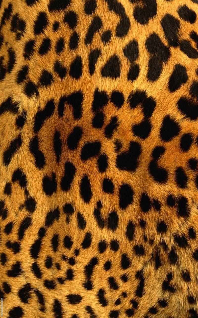 800x1280 Tiger Skin iPhone Wallpaper