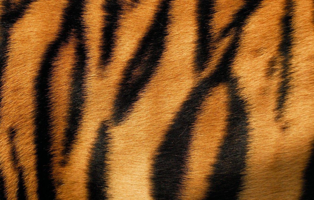 Tiger Pattern Wallpapers - Top Free Tiger Pattern Backgrounds ...