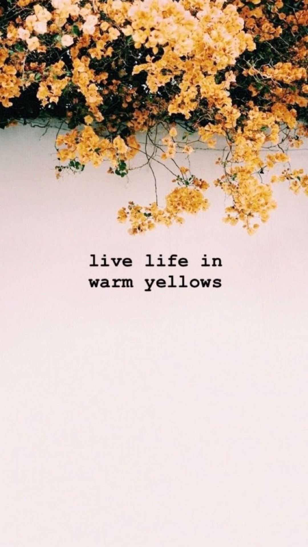 1080x1920 Aesthetic Background Wallpaper