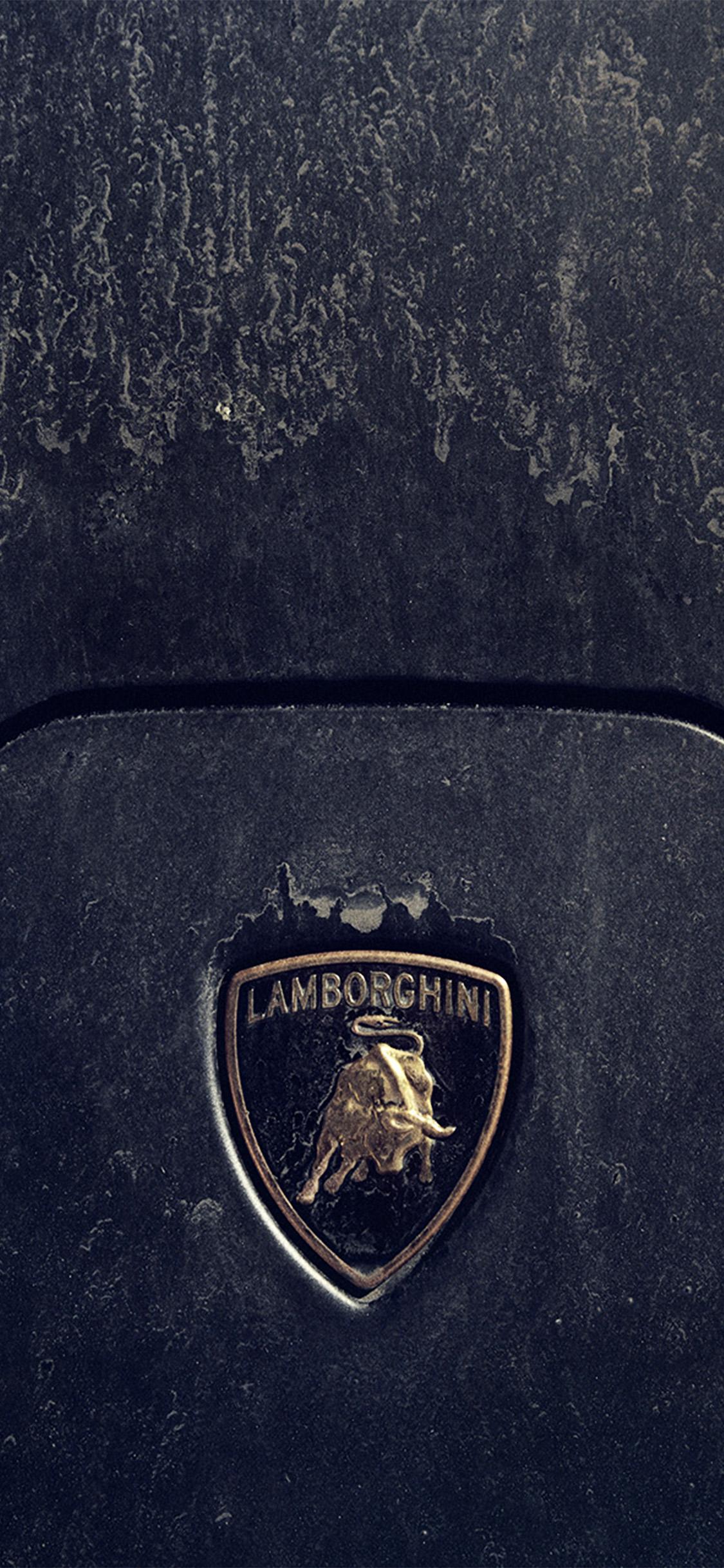 1125x2436 iPhone X wallpaper. lamborghini car logo art