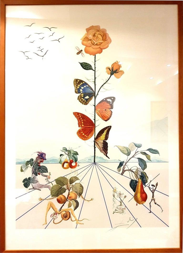 768x1059 Salvador Dalí Dali