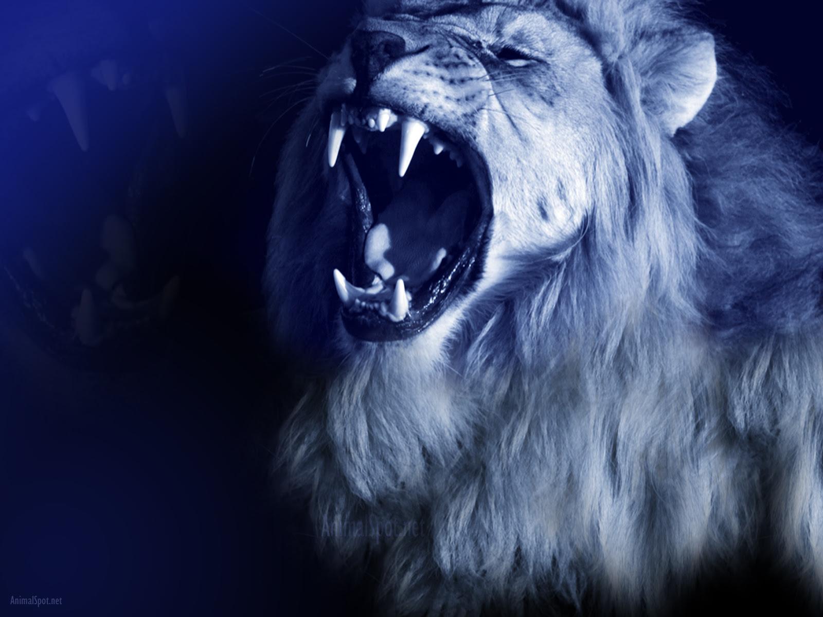 1600x1200 Download Wallpaper Blue Lion