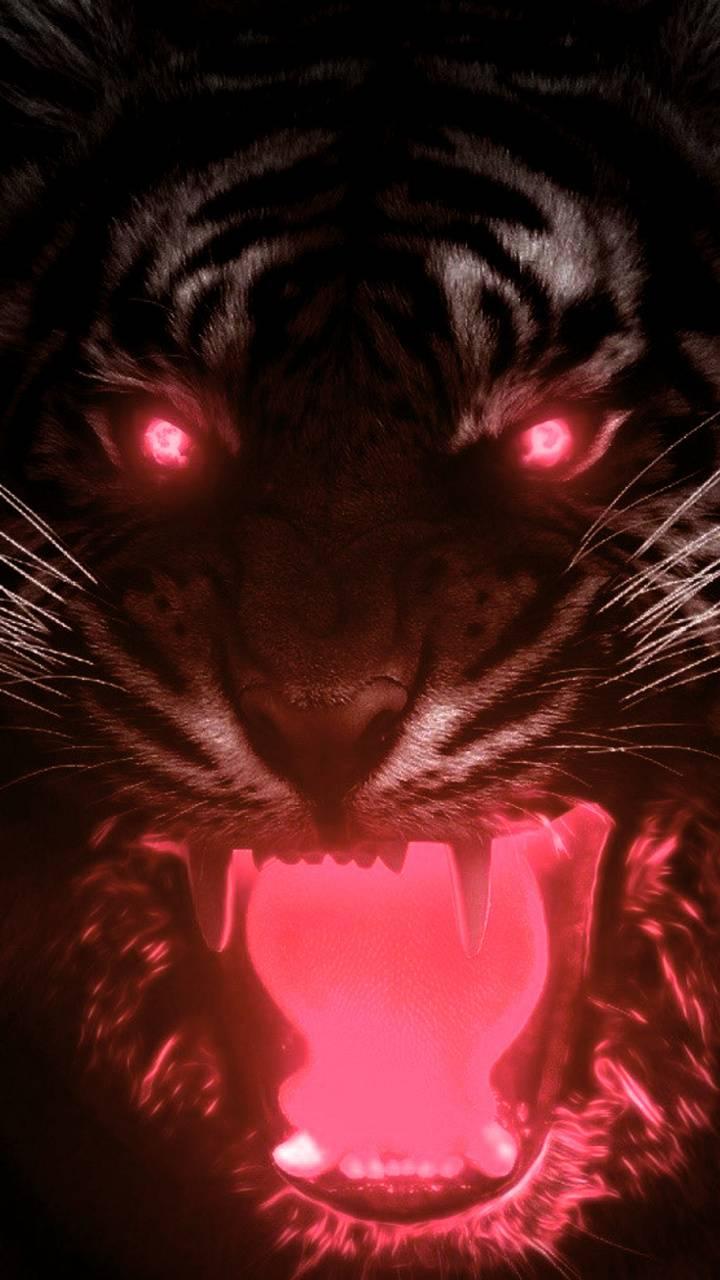 720x1280 Angry Tiger Eyes Wallpaper
