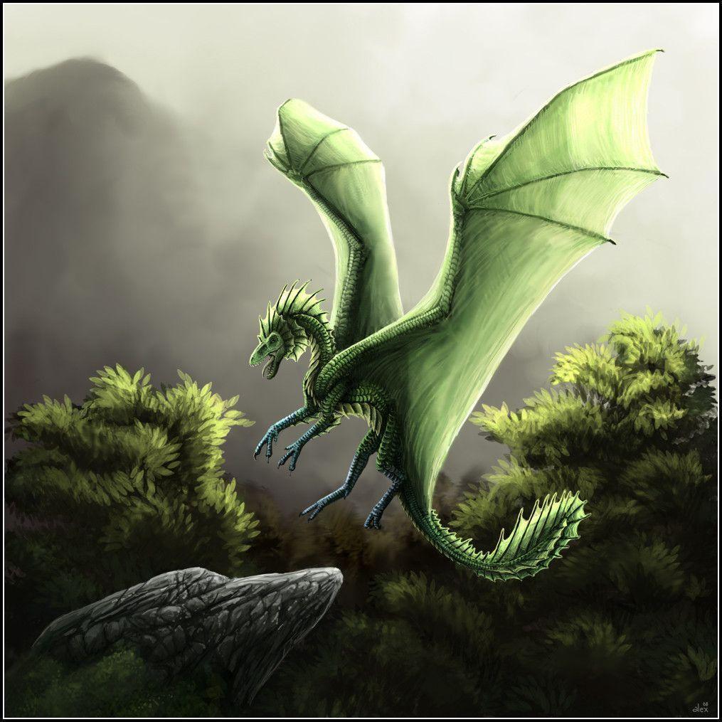 1015x1015 Green Dragon Wallpaper
