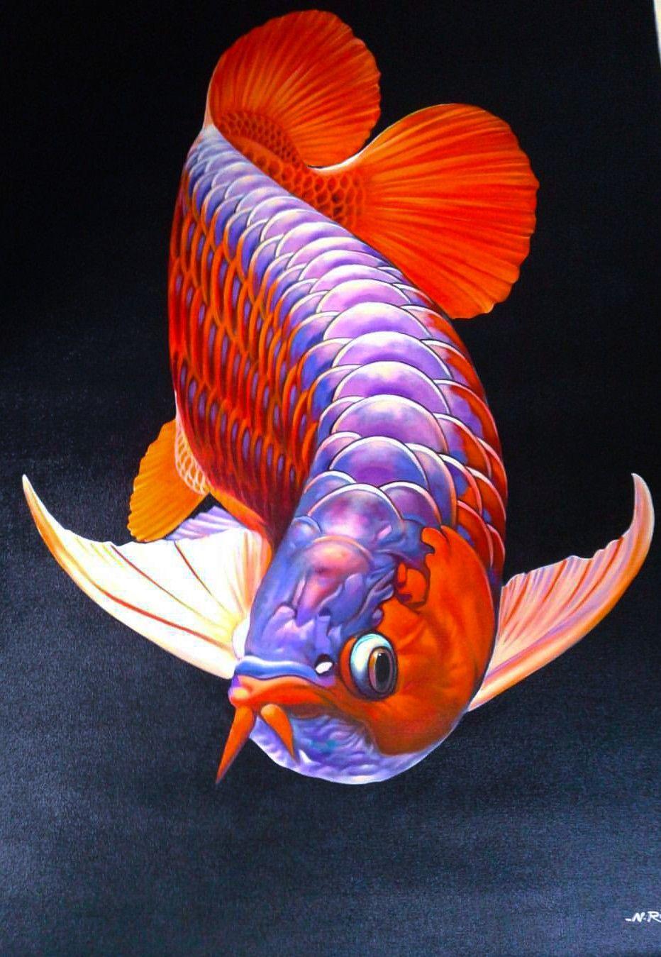 932x1349 Dragon. Ikan akuarium, Lukisan hewan, Hewan