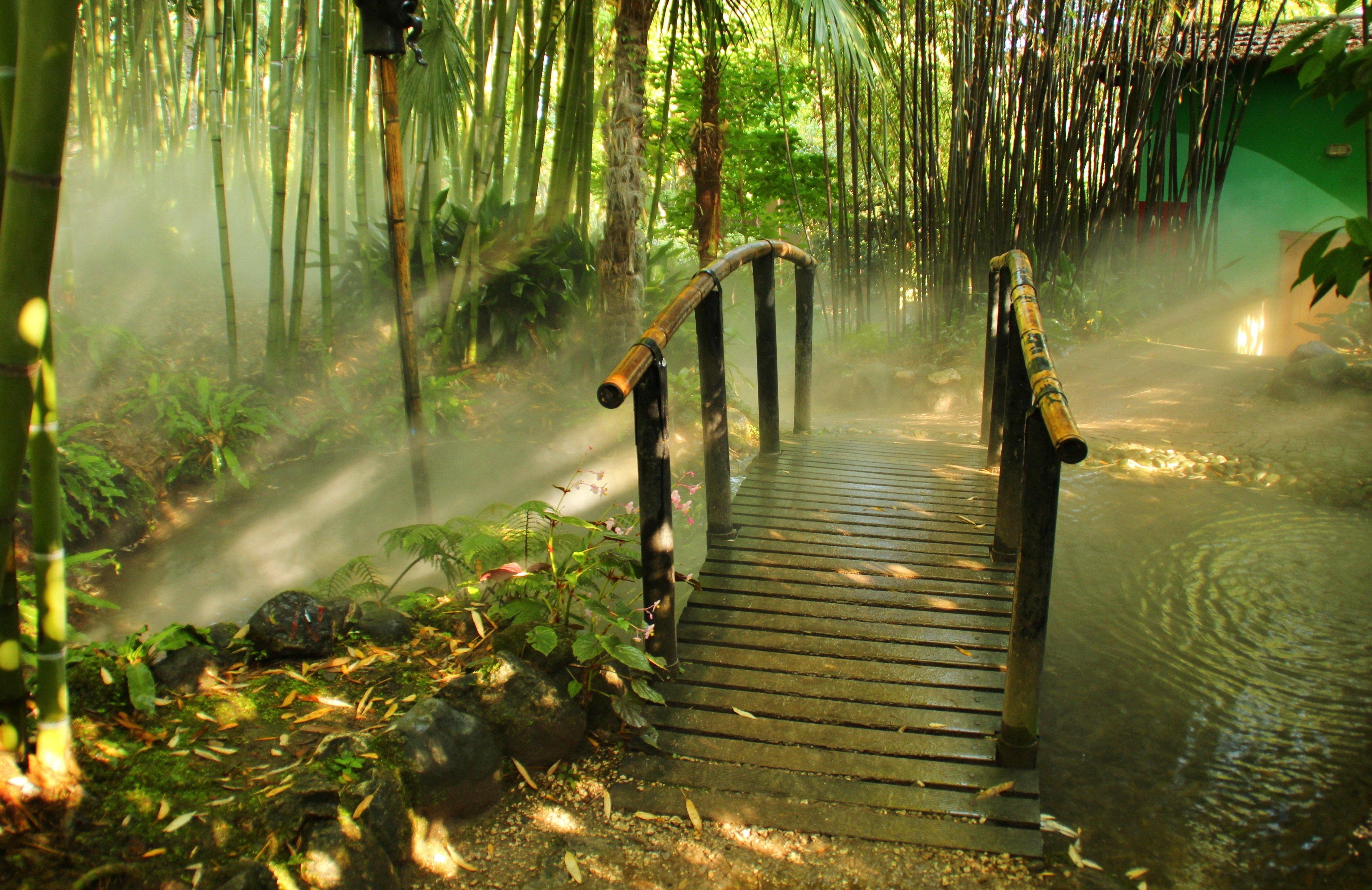 3806x2468 Free HD Bamboo Wallpaper