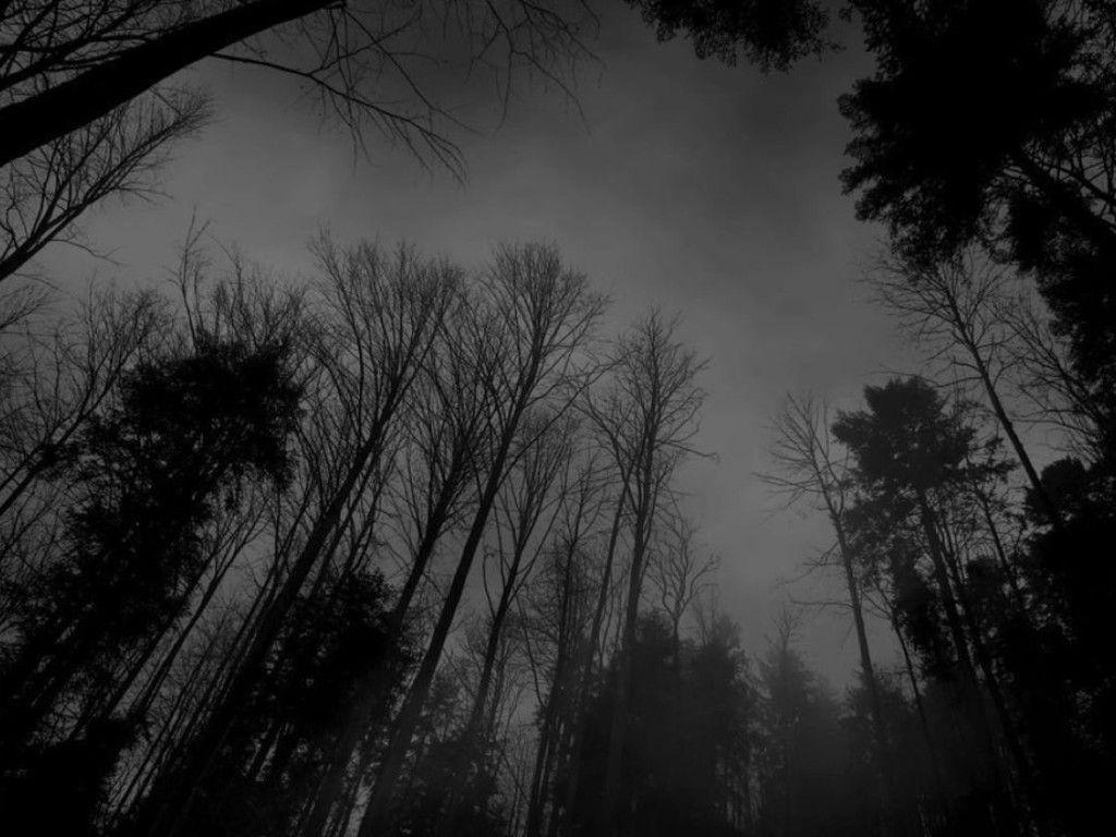 1024x768 Dark Laptop Wallpaper