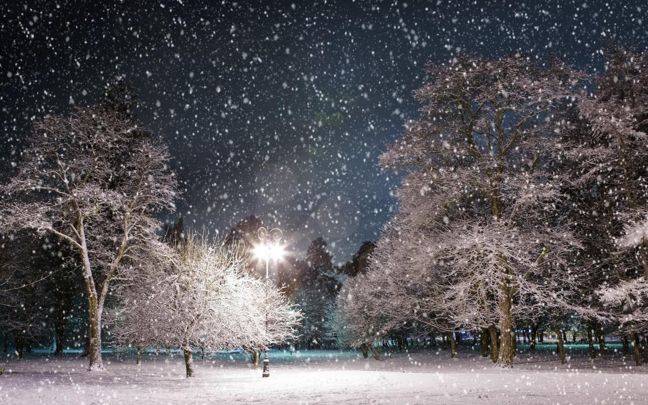 1280x800 Snowfall wallpaperx800