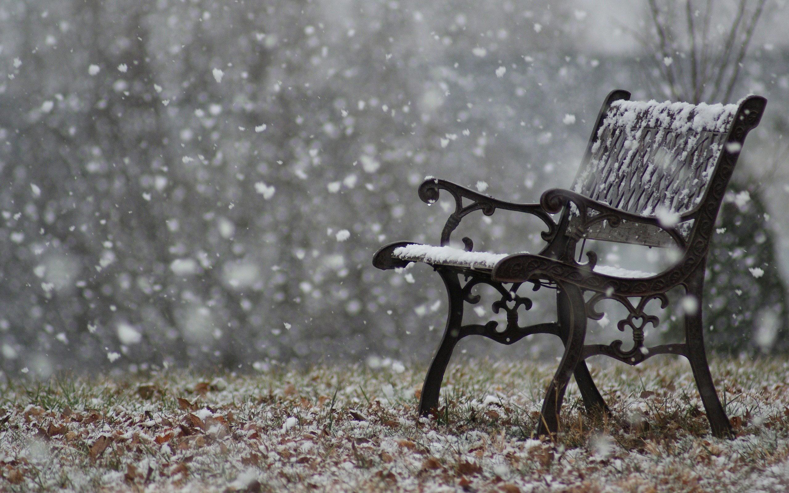 2560x1600 Fall Snowy Wallpaper