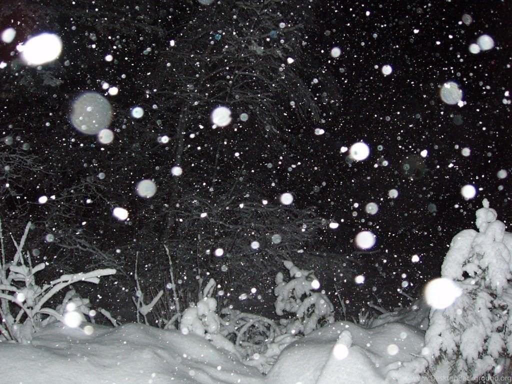 1024x768 My Free Wallpaper Nature Wallpaper : Snowfall At Night Desktop Background