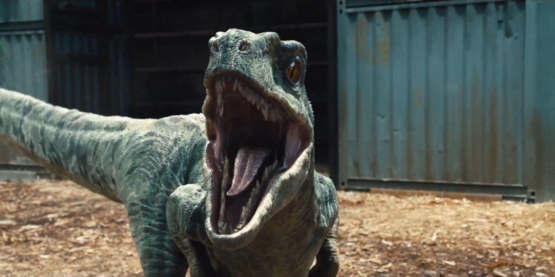 1920x960 Jurassic World Raptor By Jd1680a In Regular Season Vs Playoffs HD Wallpaper