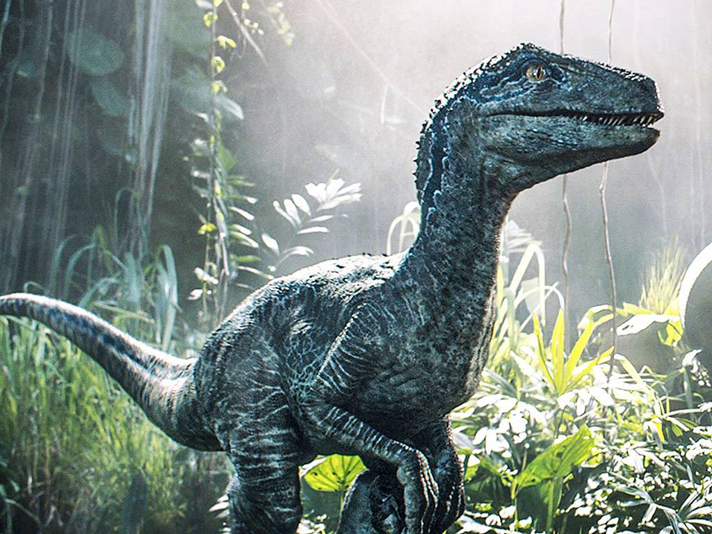 Jurassic Park Velociraptor Wallpapers - Top Free Jurassic Park ...