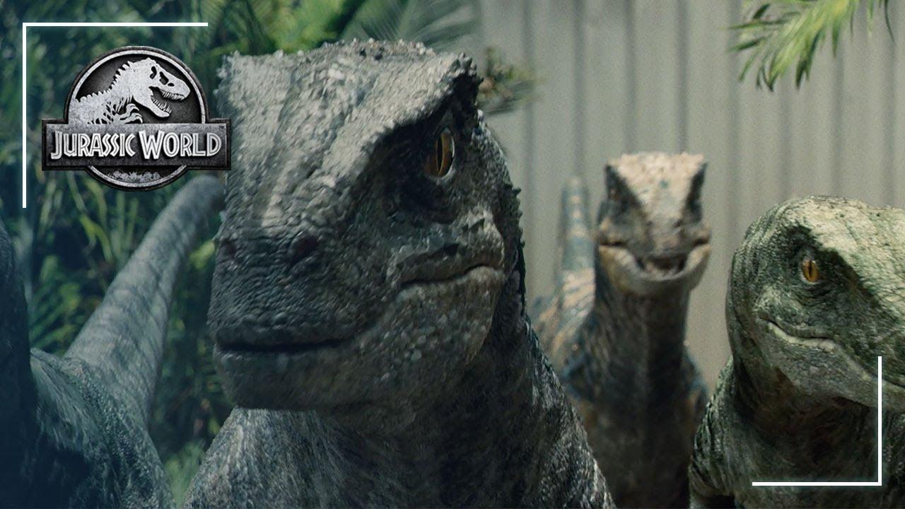 1280x720 The Science of the Strike: Velociraptor