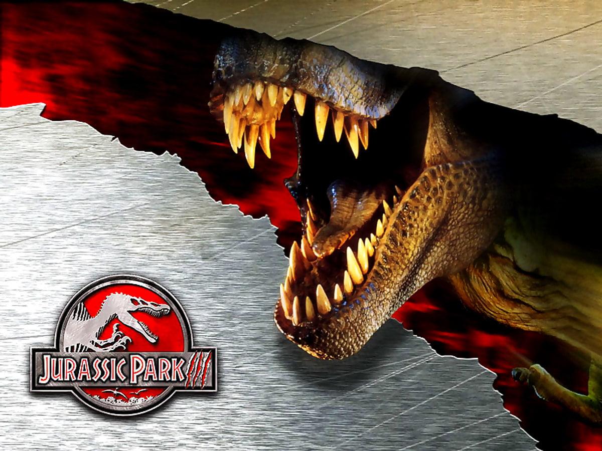 1200x900 Velociraptor wallpaper HD. Download Free background