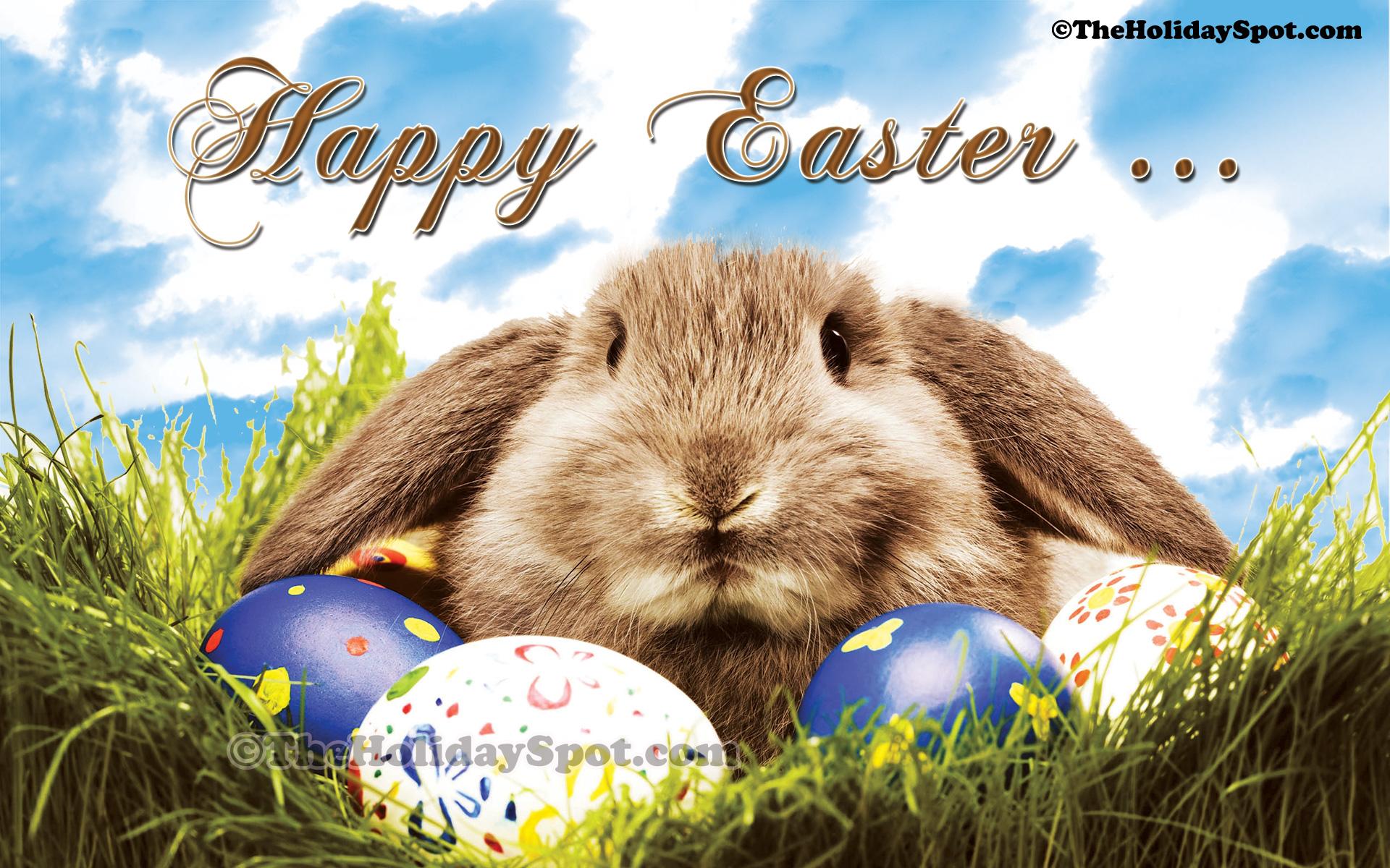 1920x1200 Free download Happy Easter Wallpaper Cute Easter Wallpaper Easter Picture [1920x1200] for your Desktop, Mobile & Tablet. Explore Happy Easter Wallpaper Picture. Easter Wallpaper For Desktop, Easter Bunny Wallpaper
