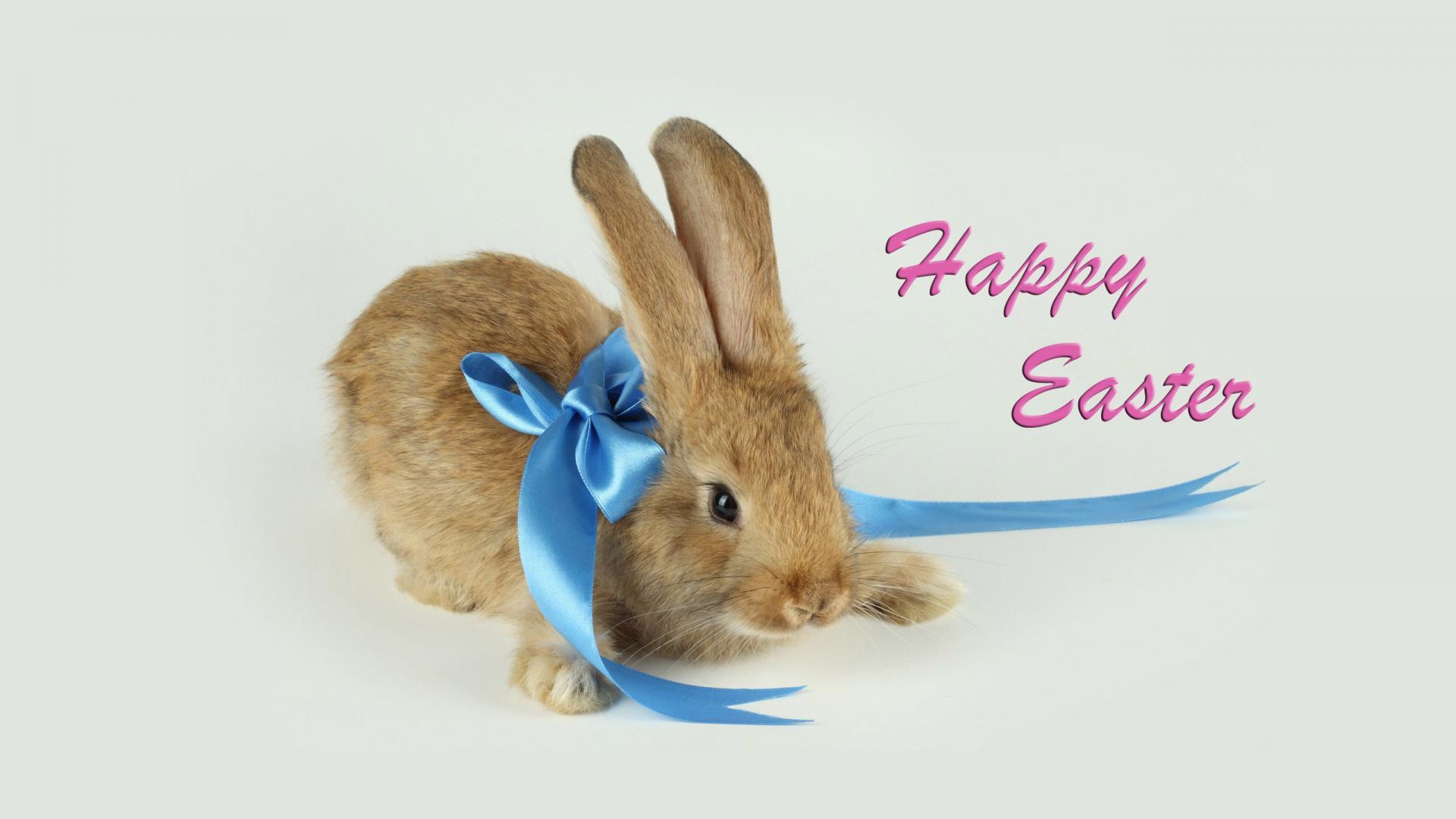 1920x1080 Happy Easter 2014, High Definition, High Quality, Widescreen