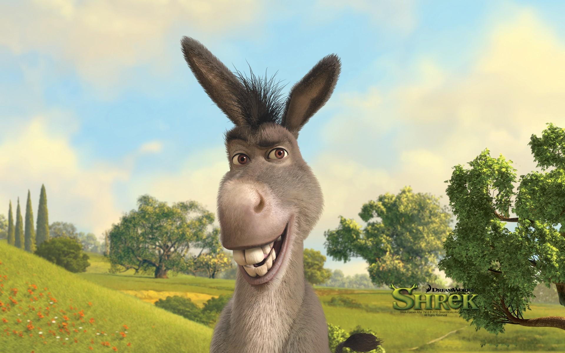 1920x1200 Donkey from Shrek cartoon wallpaper (phone background)