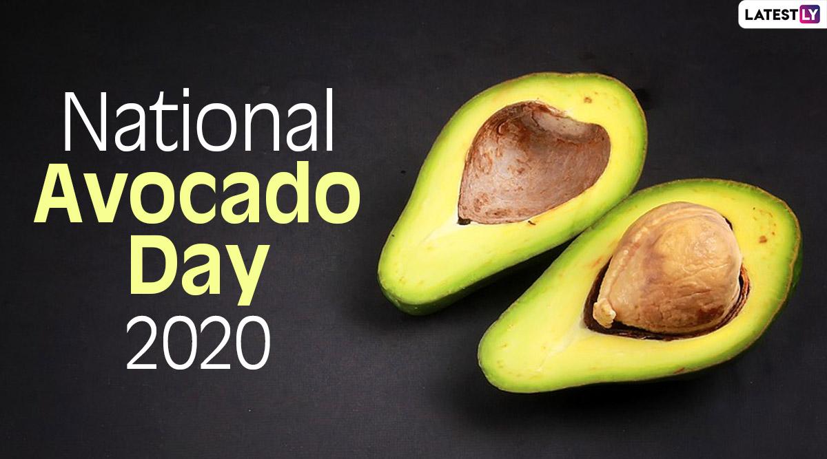1200x667 National Avocado Day 2020 Image and HD Wallpaper With Most Amazing Quotes About the Tropical Fruit to Share With Those Who Swear on Avocados!