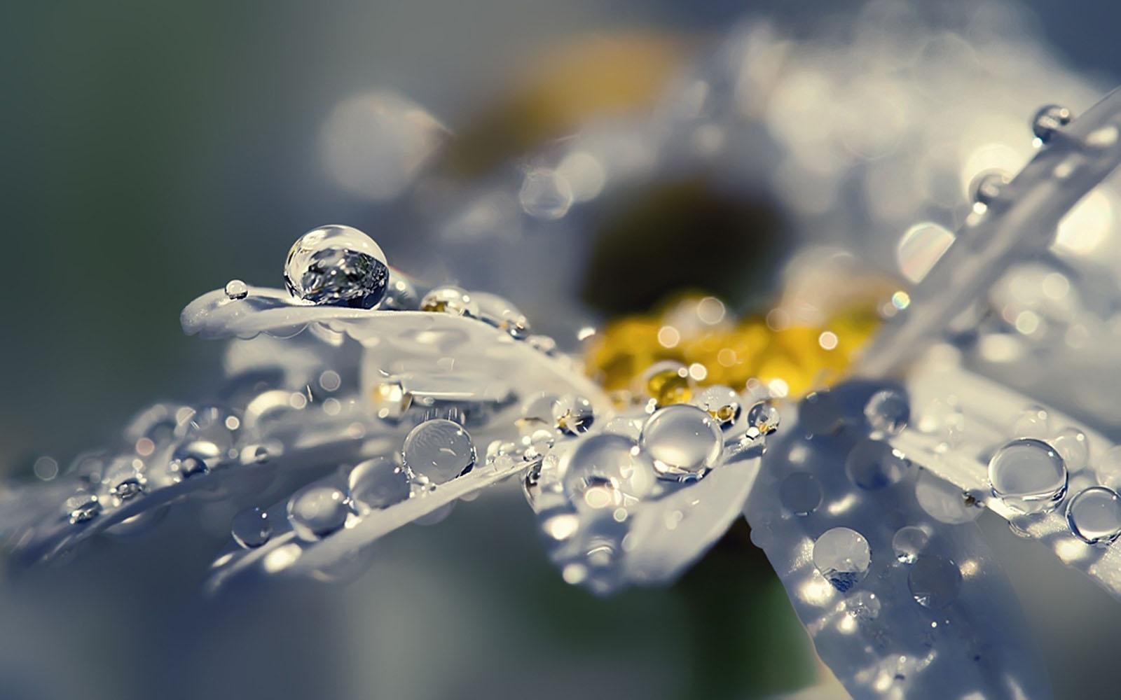 1600x1000 Best Collection Beautiful Rain HD Wallpaper For Desktop