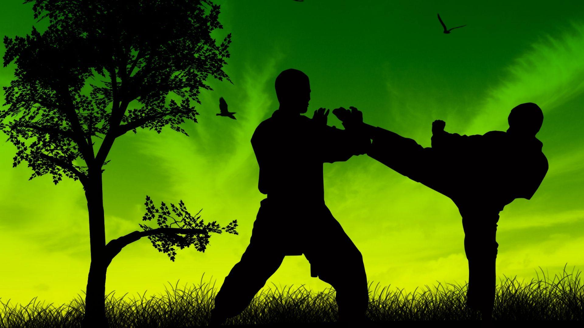 TKD Wallpapers - Top Free TKD Backgrounds - WallpaperAccess