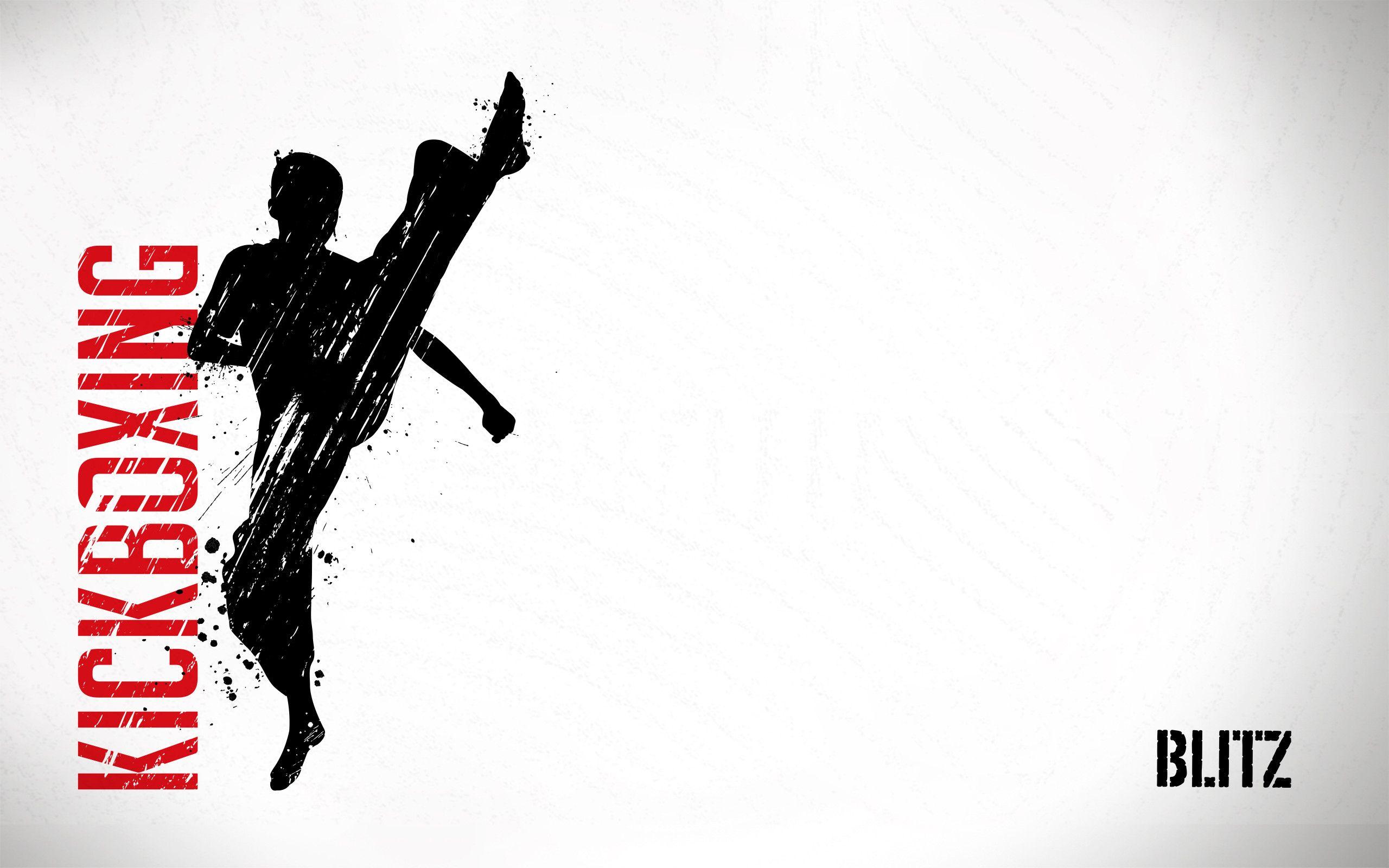 2560x1600 Taekwondo Wallpaper X For Pc WSW1012760 Wallpaper Collections