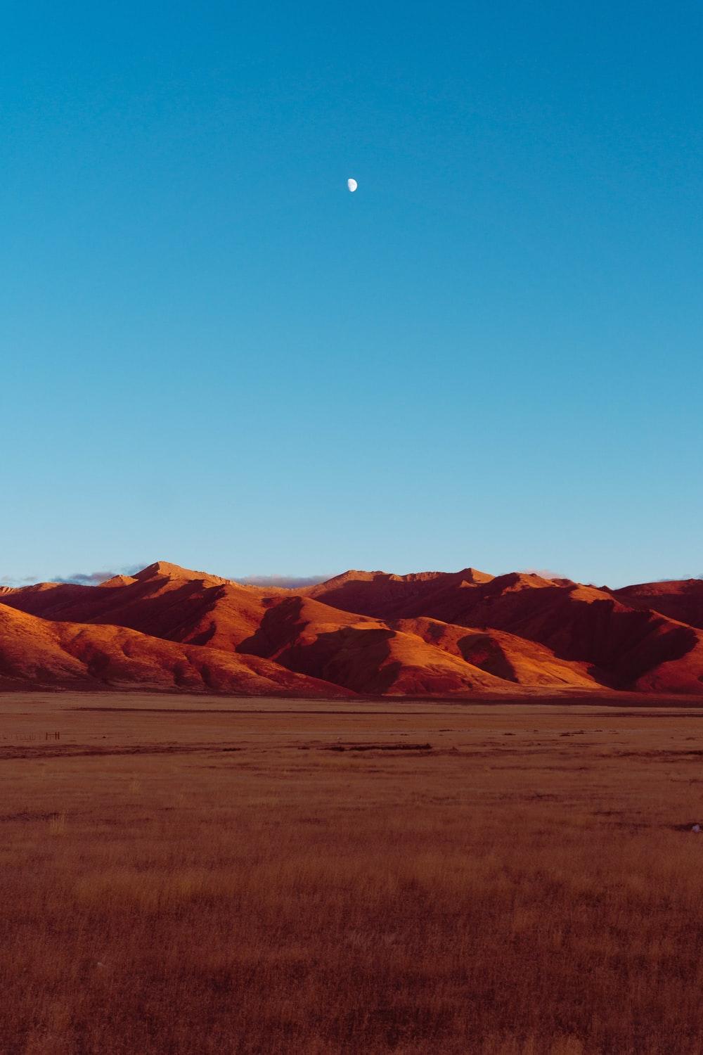 1000x1500 Nevada Picture. Download Free Image