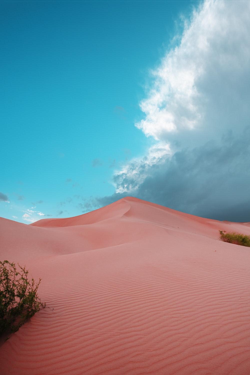 1000x1499 Pink Desert Picture. Download Free Image