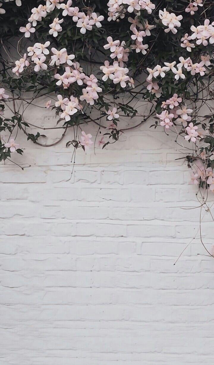 720x1227 Gray Aesthetic Wallpaper