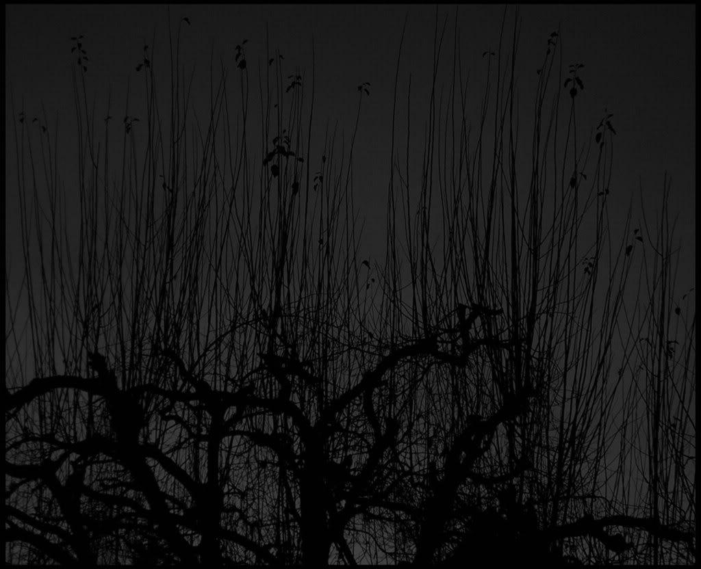1024x832 Black and Grey Wallpaper