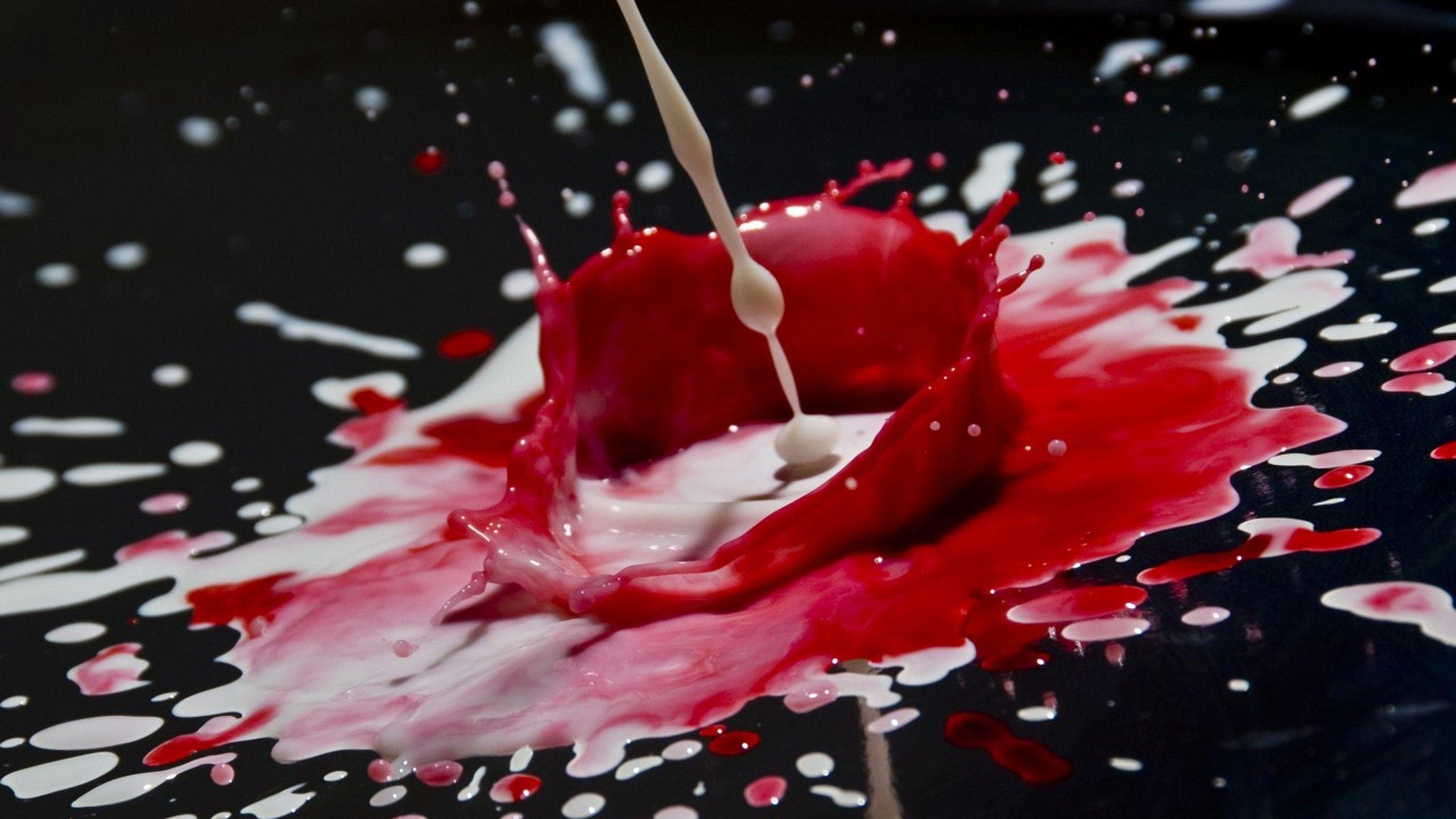 2560x1440 Download wallpaper 2560x1440 drops, spray, paint, surface widescreen