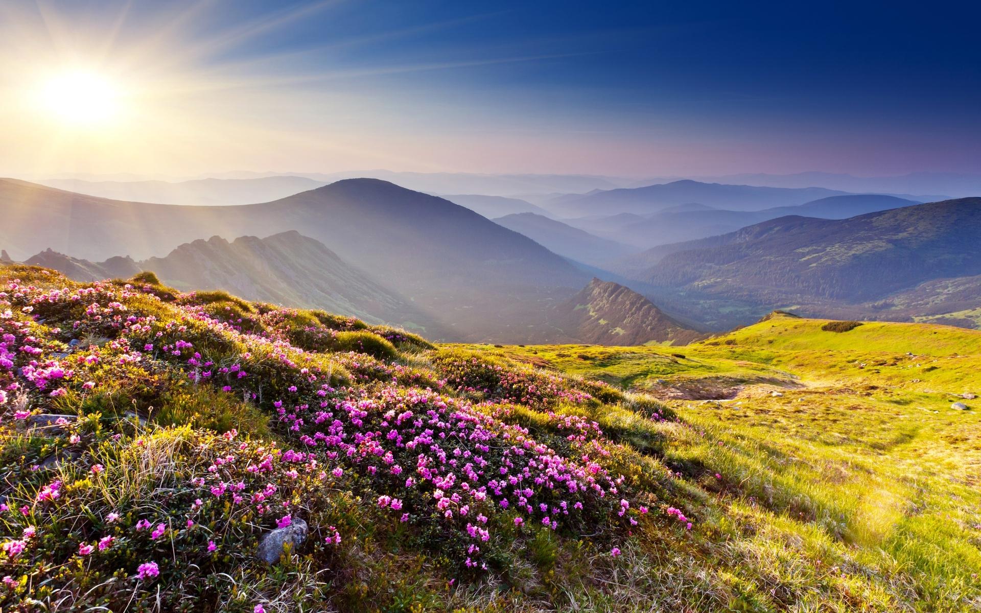 1920x1200 Download Latest HD Wallpaper of, Nature, Mountain Meadow