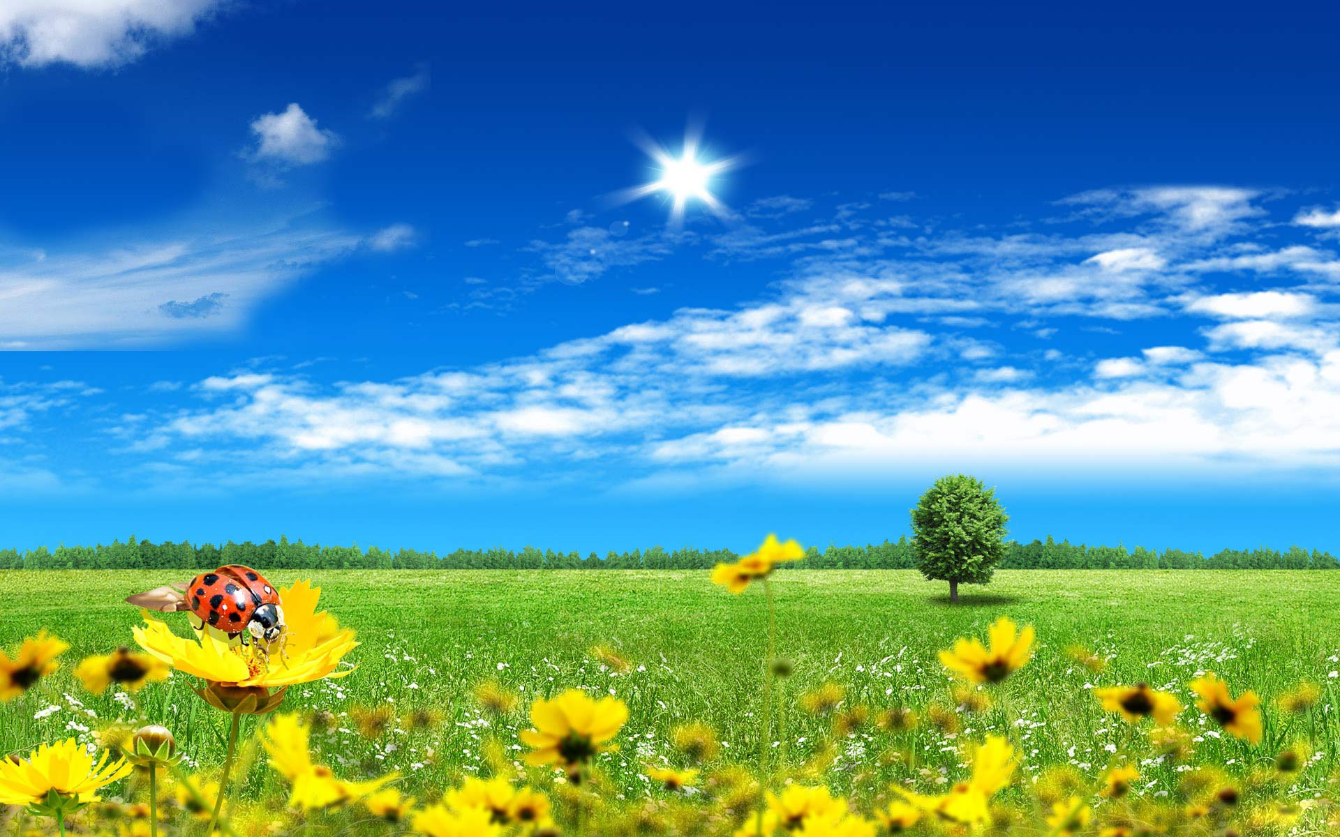 1920x1200 Meadow, green, summer, background, wallpaper, computers, desktop