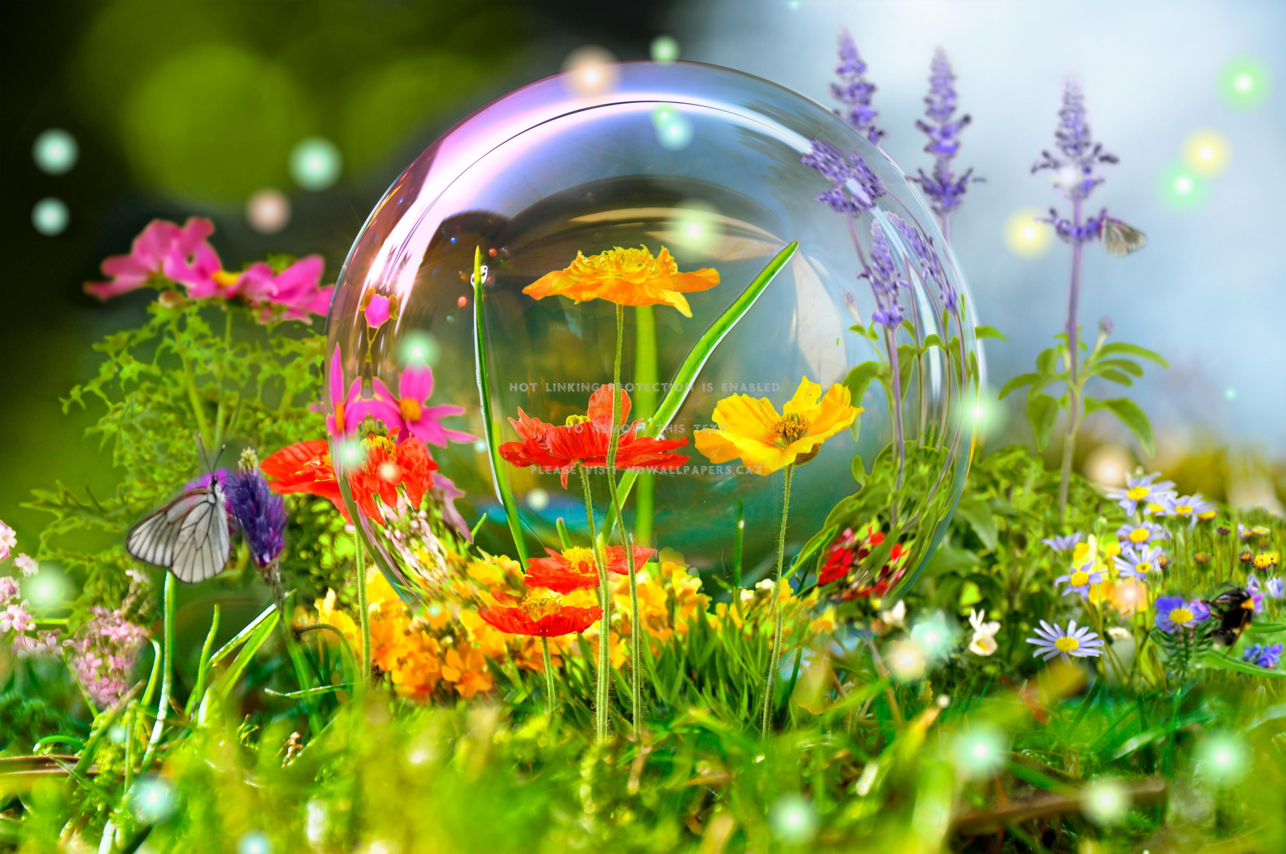 4288x2848 wild flowers spring forest bubble meadow