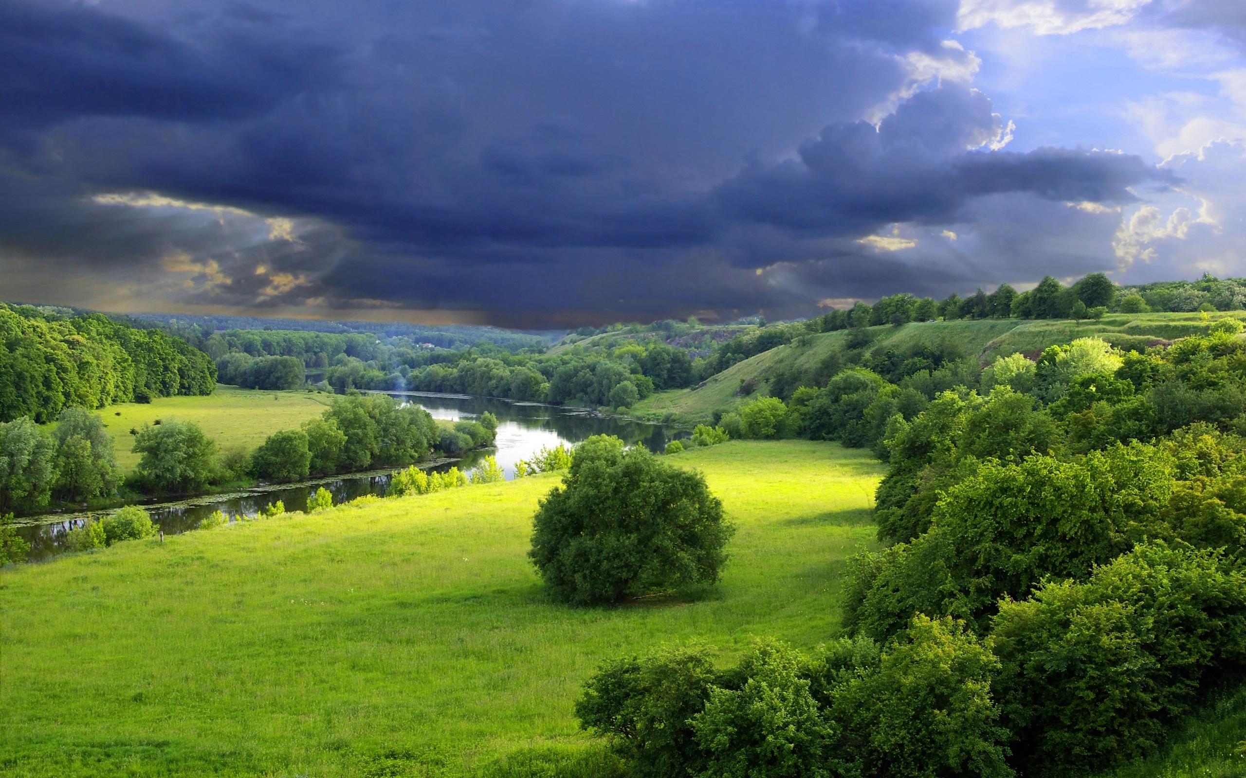 2560x1600 Meadow and the river Desktop Wallpaper FREE on