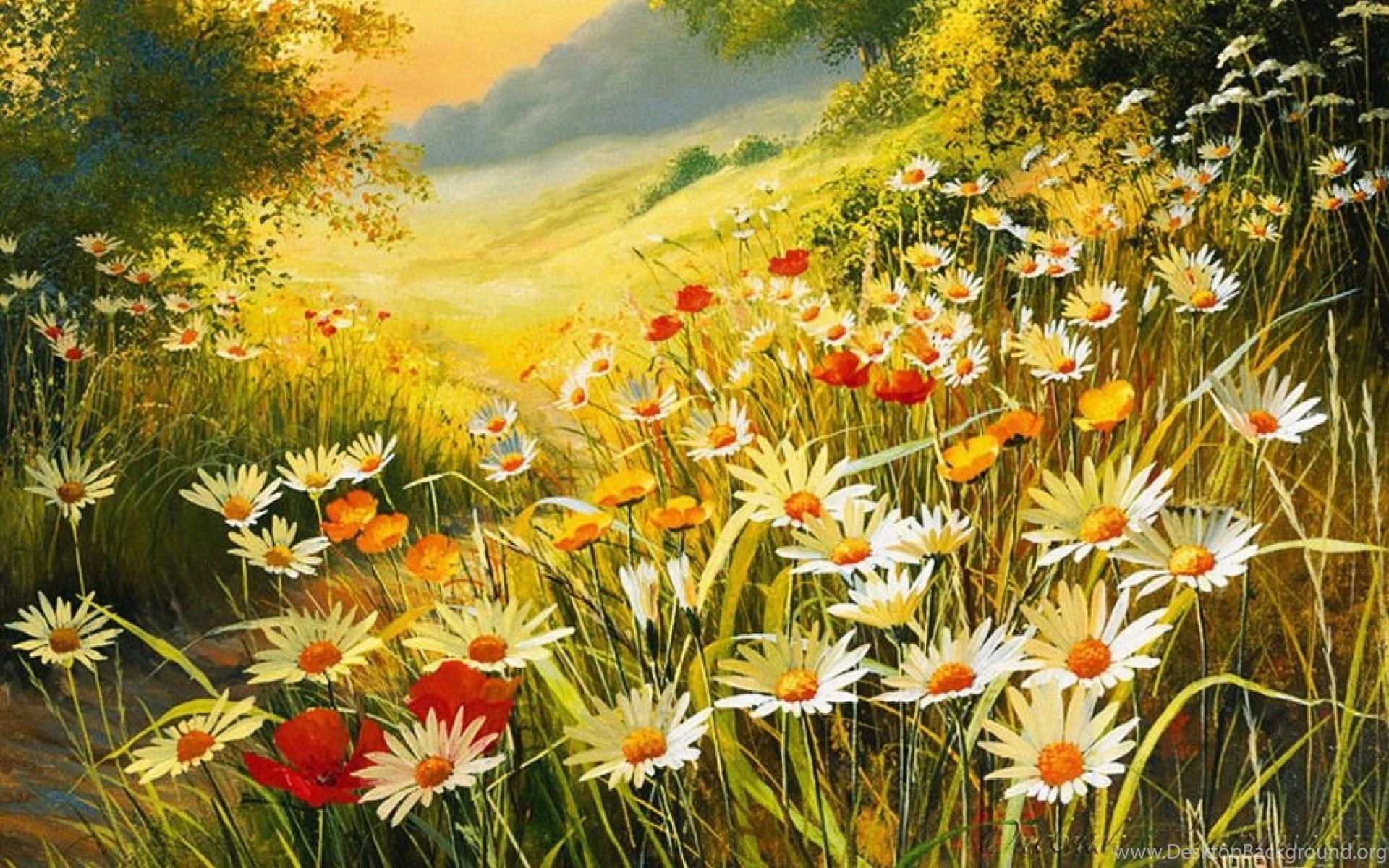 1920x1200 Flower Meadow Hill Forest Wallpaper Desktop Background
